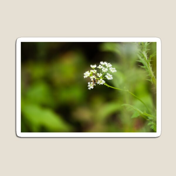 Item preview, Pollination designed and sold by brittanyapp.