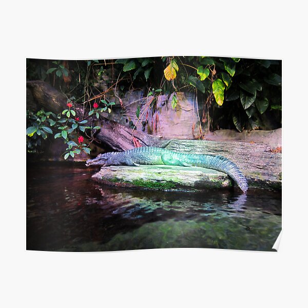 Magic Alligator Poster
