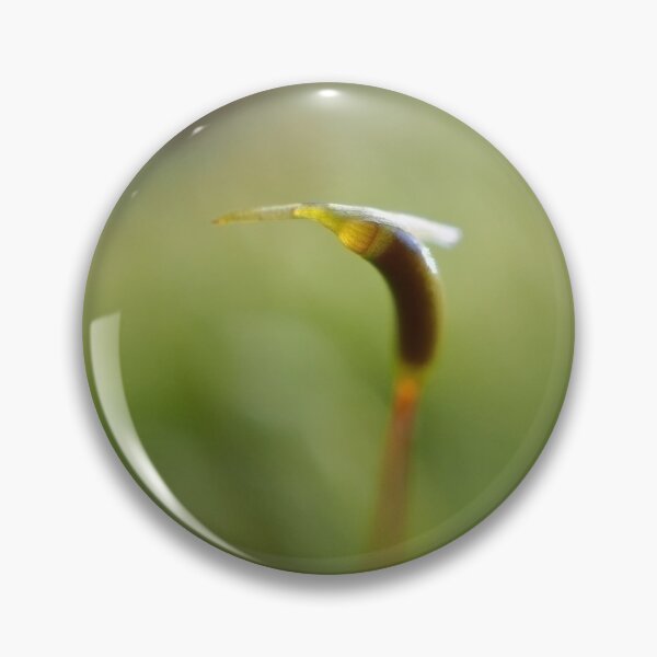 Item preview, Macro shot of a moss sporophyte designed and sold by SDym Photography.