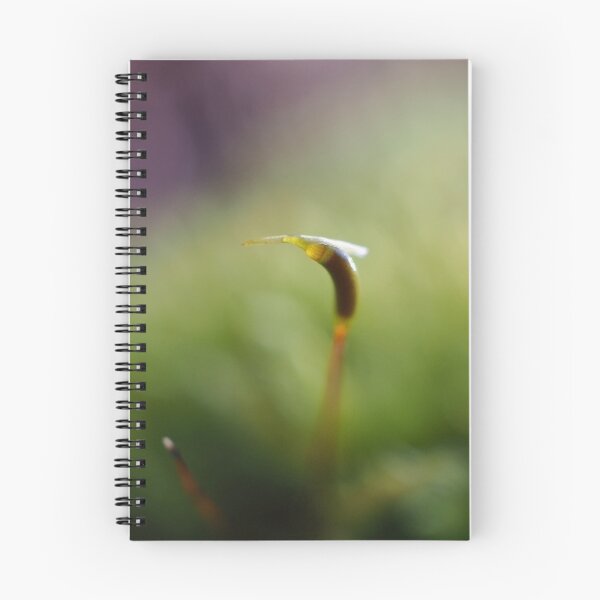 Item preview, Macro shot of a moss sporophyte designed and sold by SDym Photography.