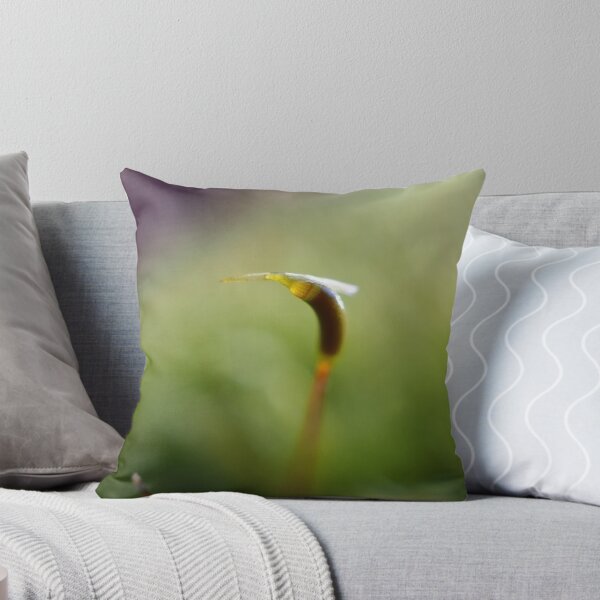 Item preview, Macro shot of a moss sporophyte designed and sold by SDym Photography.
