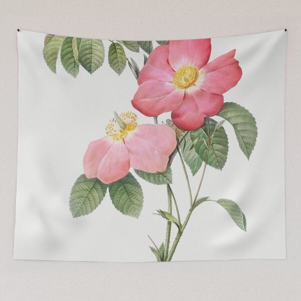 Item preview, Les Roses by Pierre-Joseph Redouté designed and sold by EsotericBotanic.