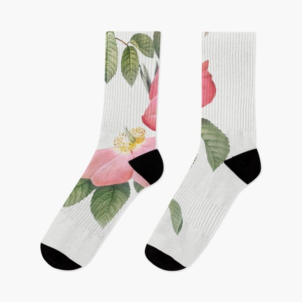 Item preview, Les Roses by Pierre-Joseph Redouté designed and sold by EsotericBotanic.