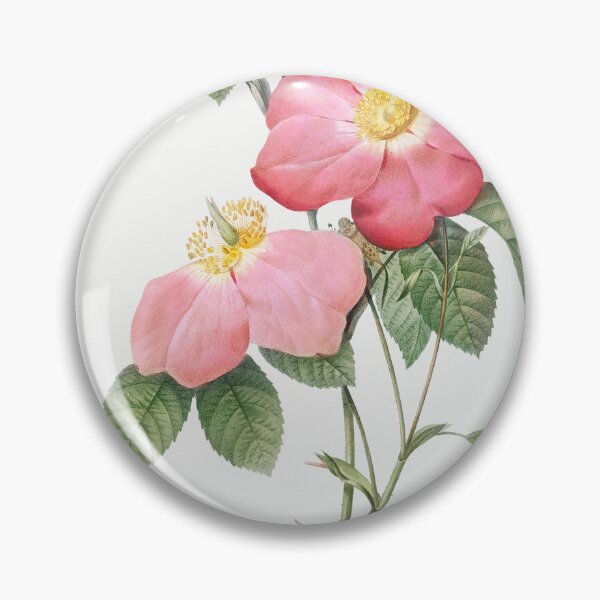 Item preview, Les Roses by Pierre-Joseph Redouté designed and sold by EsotericBotanic.
