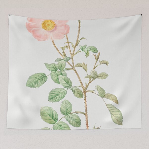 Item preview, Les Roses by Pierre-Joseph Redouté designed and sold by EsotericBotanic.