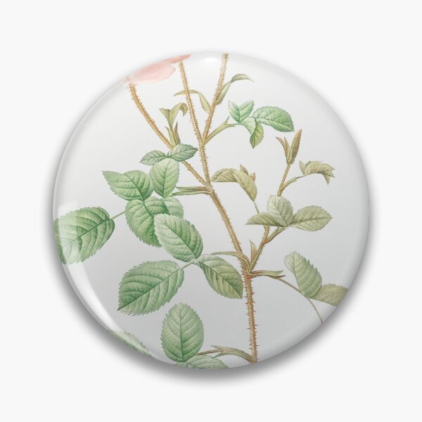 Item preview, Les Roses by Pierre-Joseph Redouté designed and sold by EsotericBotanic.