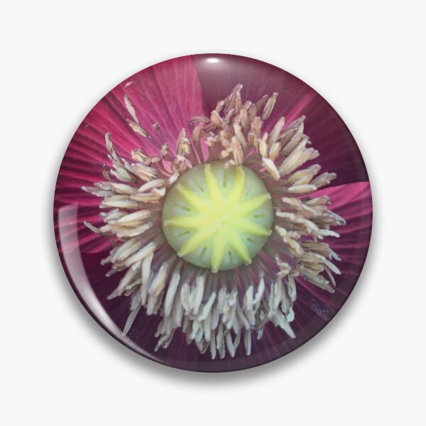 Item preview, Poppy Pow! designed and sold by CKay Walker.