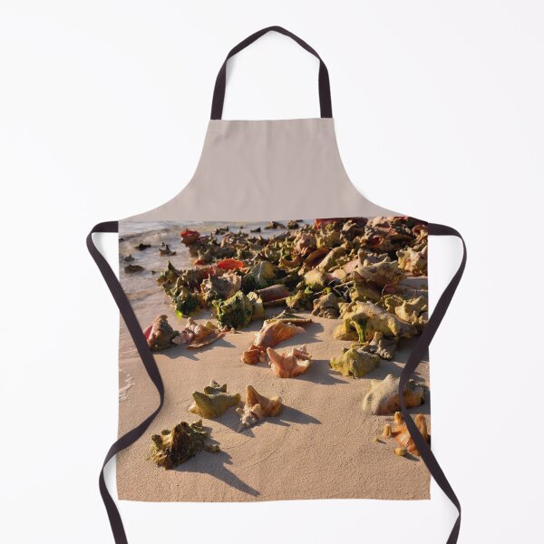 Item preview, Conch Collection designed and sold by Jola Martysz.