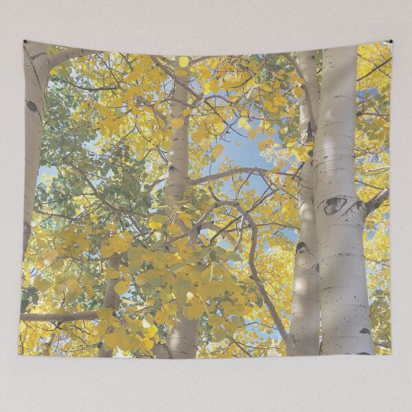 Item preview, Light Fall Aspens designed and sold by AlyssaBat.