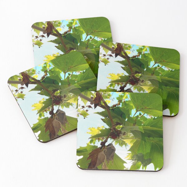 Item preview, Spring to Summer - LEAVES designed and sold by Sophie Hughes.