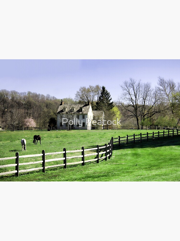 "Chester County, Pennsylvania Horse Farm" Photographic Print for Sale