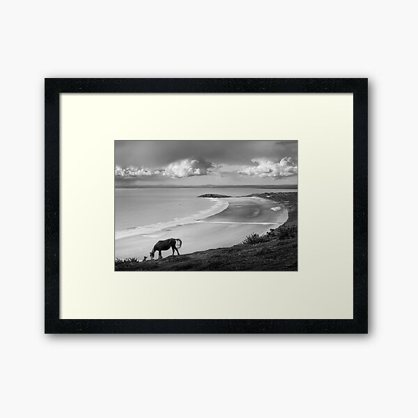 Item preview, Wild horse above Rhossili Bay, Gower Peninsula, Wales designed and sold by Justin Foulkes.