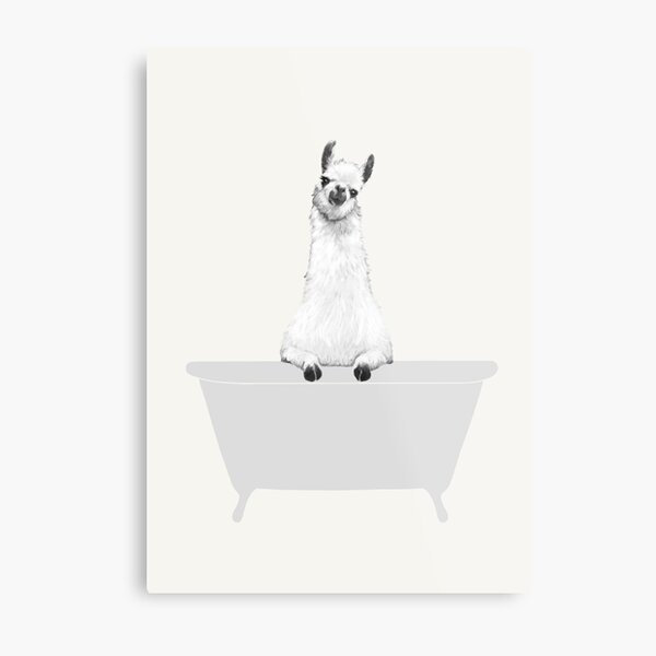 Vintage Llama in Bathtub Metal Print