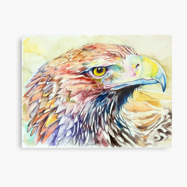 Wedge-tailed eagle Metal Print