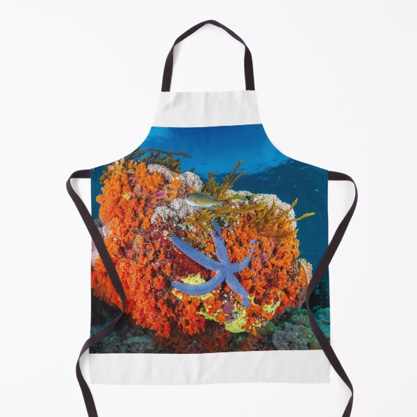Item preview, Starfish designed and sold by Jose Antonio Castellano Garrido.