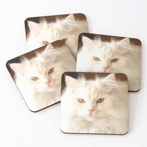 Item preview, Adorable White and Apricot Persian Ragdoll Cat  designed and sold by wazoosi.