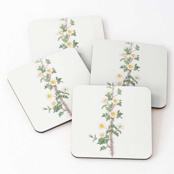 Item preview, Les Roses by Pierre-Joseph Redouté designed and sold by EsotericBotanic.