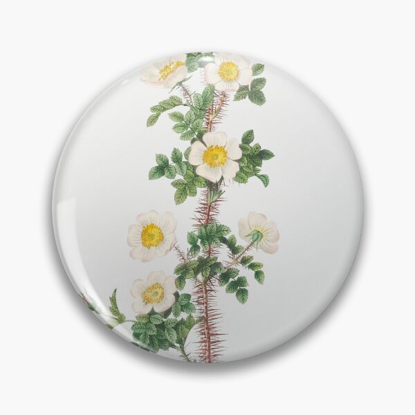 Item preview, Les Roses by Pierre-Joseph Redouté designed and sold by EsotericBotanic.