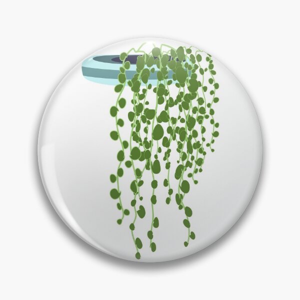 Item preview, String of pearls plant in the pot designed and sold by orangerinka.