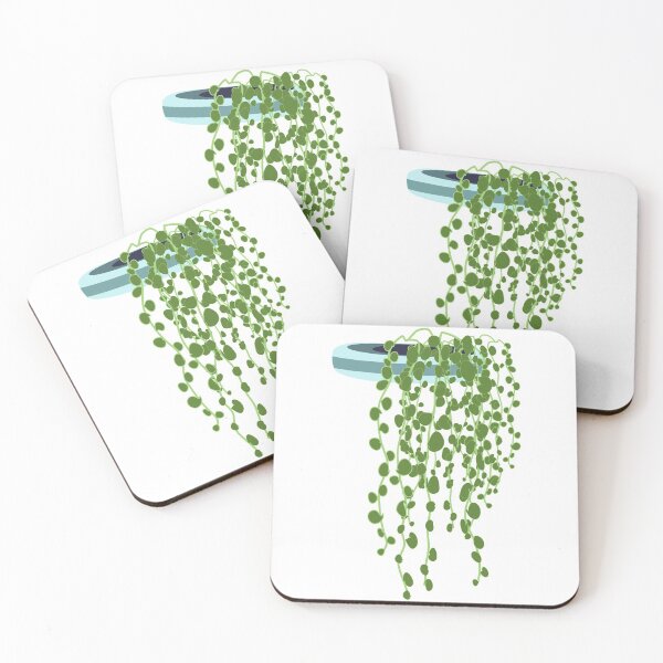 Item preview, String of pearls plant in the pot designed and sold by orangerinka.