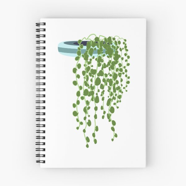 Item preview, String of pearls plant in the pot designed and sold by orangerinka.