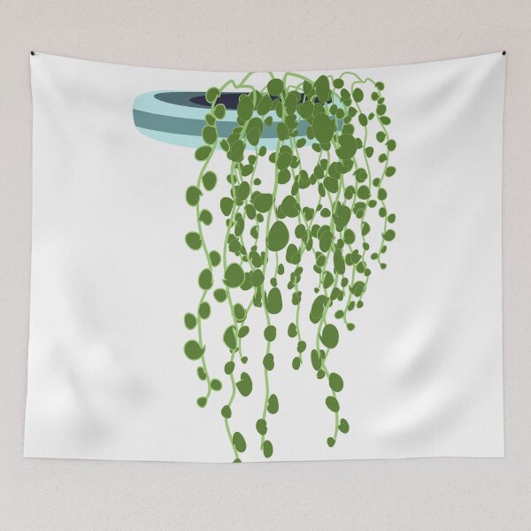 Item preview, String of pearls plant in the pot designed and sold by orangerinka.
