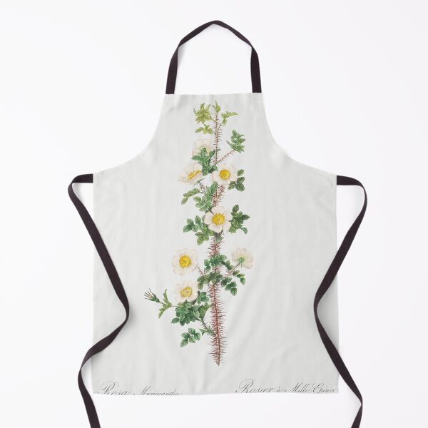 Item preview, Les Roses by Pierre-Joseph Redouté designed and sold by EsotericBotanic.