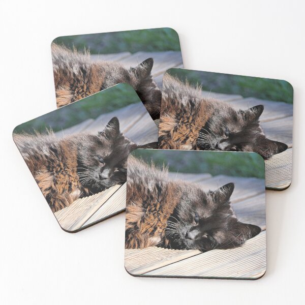 Item preview,  2526/  1  Chat-Cat  " Mamadou : le Magnifique " finition 2020 par Okaio Créations - Olavia&Olao  designed and sold by o.okaïo.