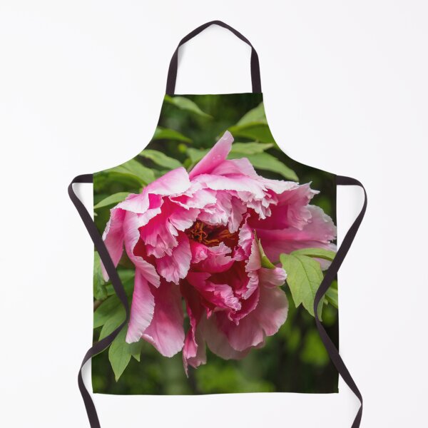 Aperçu de l'œuvre Pétales ébouriffés dans de nombreuses nuances de rose - Une fleur de pivoine très voyante créée et vendue par Georgia Mizuleva.