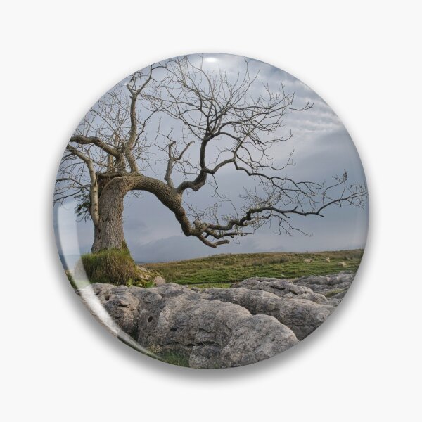 Item preview, Limestone Roots  designed and sold by john lever.