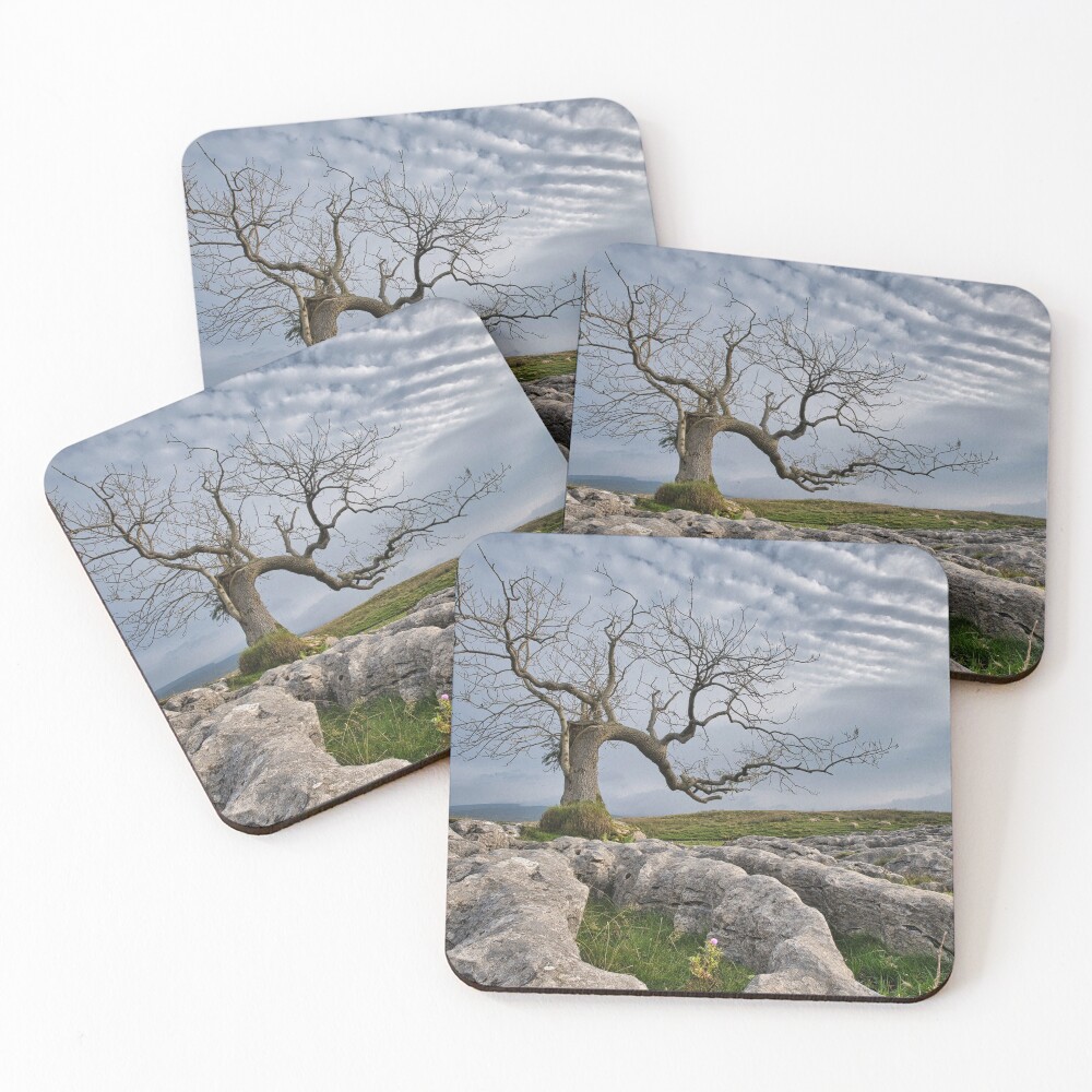 Item preview, Coasters (Set of 4) designed and sold by johnlever49.