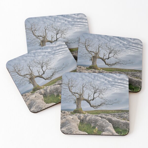 Item preview, Limestone Roots  designed and sold by john lever.