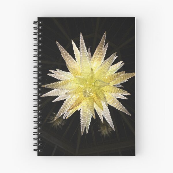 Item preview, glass star designed and sold by jon  daly.
