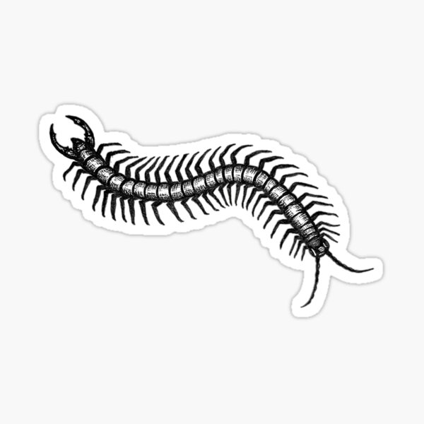 Item preview, Centipede designed and sold by MYLCreations.