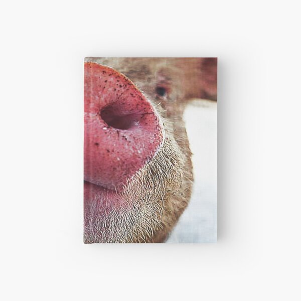 Artikel-Vorschau von Das lustige Gesicht und die Schnauze des Schweins in Nahaufnahme passen zu Ihrem Mund, designt und verkauft von Dolphin Graphic.
