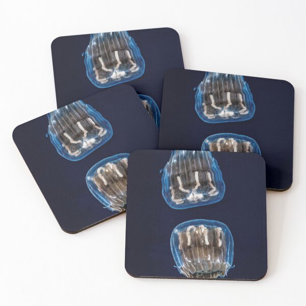 Item preview, jellyfish designed and sold by Jose Antonio  Castellano Garrido.