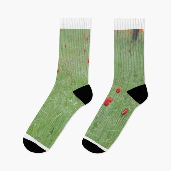Artikelvorschau, Tulpen entworfen und verkauft von jon daly.