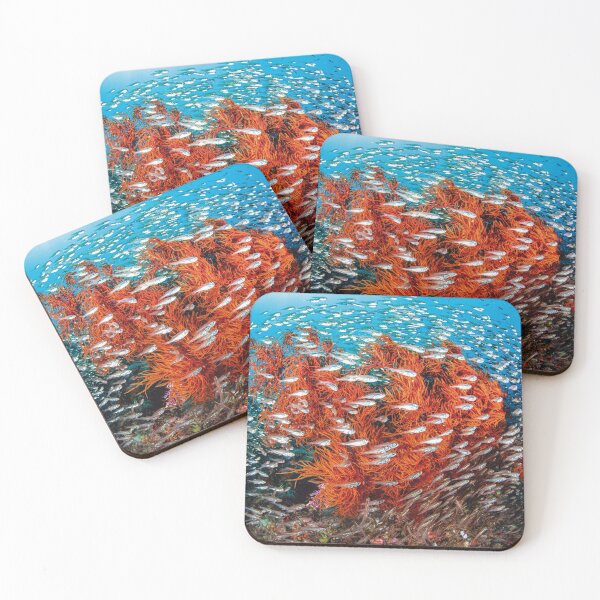 Item preview, Coral and crystal fish designed and sold by Jose Antonio  Castellano Garrido.