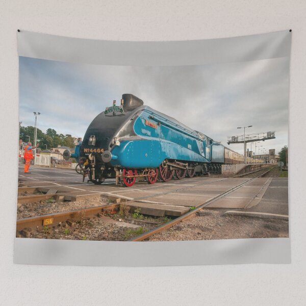 Item preview, Bittern at Exeter  designed and sold by hawkie.