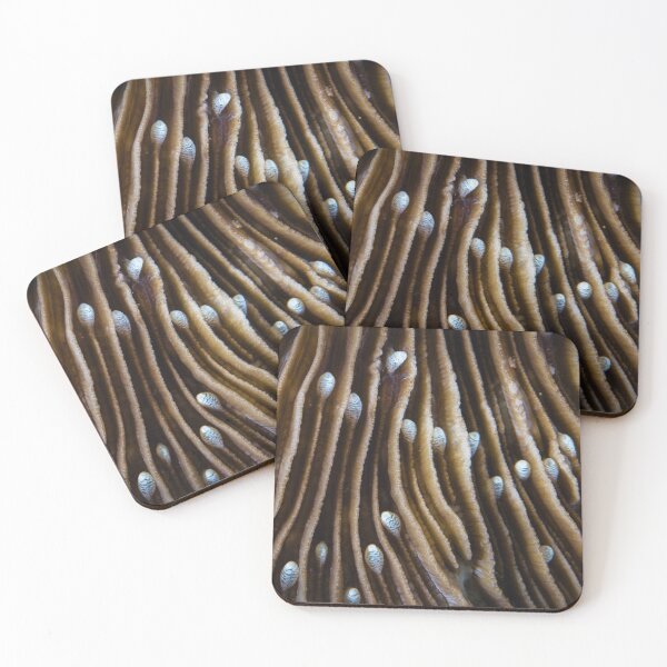 Item preview, Mushroom coral designed and sold by Jose Antonio  Castellano Garrido.