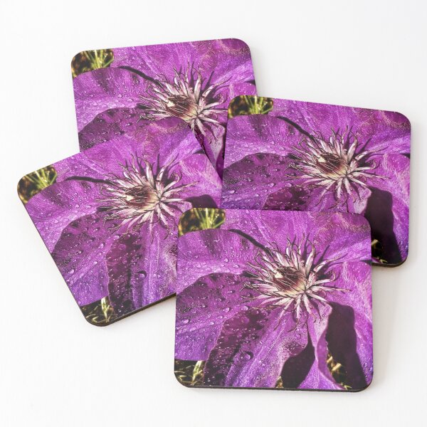 Item preview, Close up of a clematis purple flower  designed and sold by Digibee.