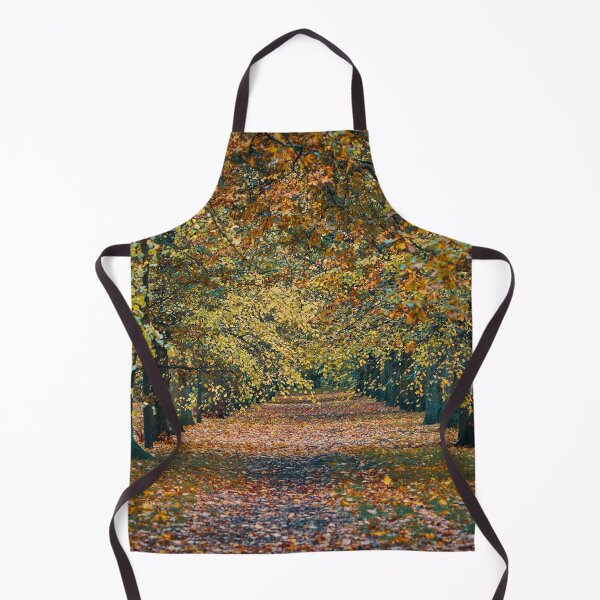 Item preview, Autumn leaves in a London park designed and sold by David Milnes.