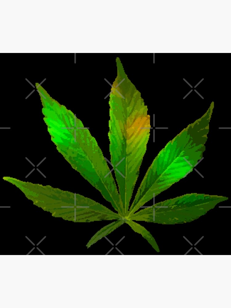 Disover Marijuana Weed Leaf Premium Matte Vertical Poster