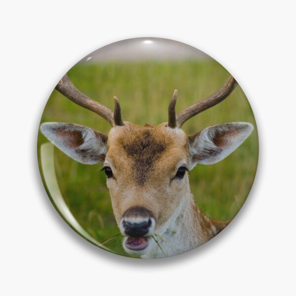 Item preview, Fallow Deer designed and sold by Linsey Williams.