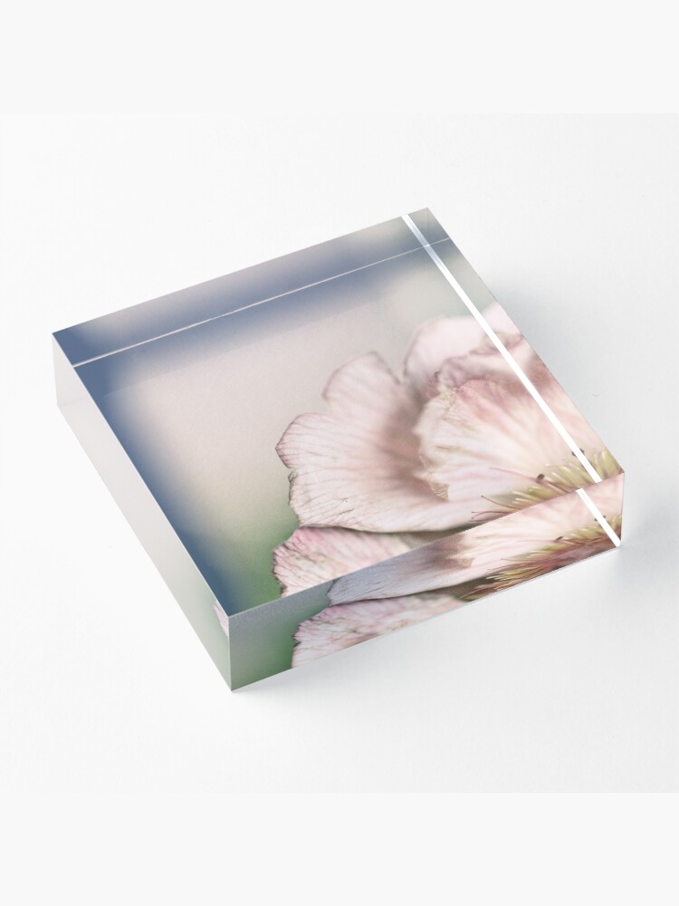 Alternate view of Flower Mystical Acrylic Block
