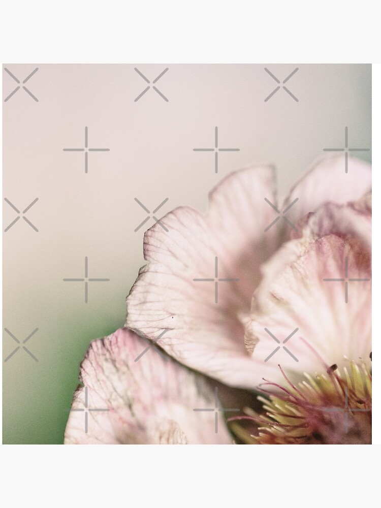 Flower Mystical by WendyLeyten