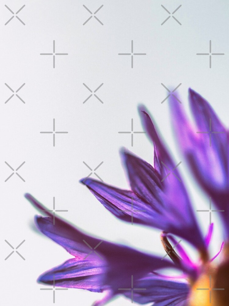 Flower Mystical by WendyLeyten