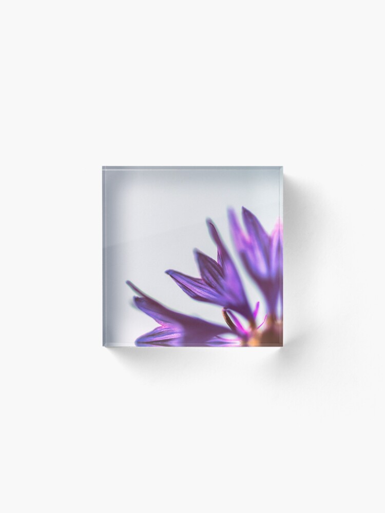 Alternate view of Flower Mystical Acrylic Block
