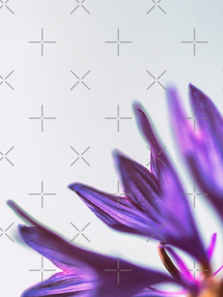 Flower Mystical by WendyLeyten