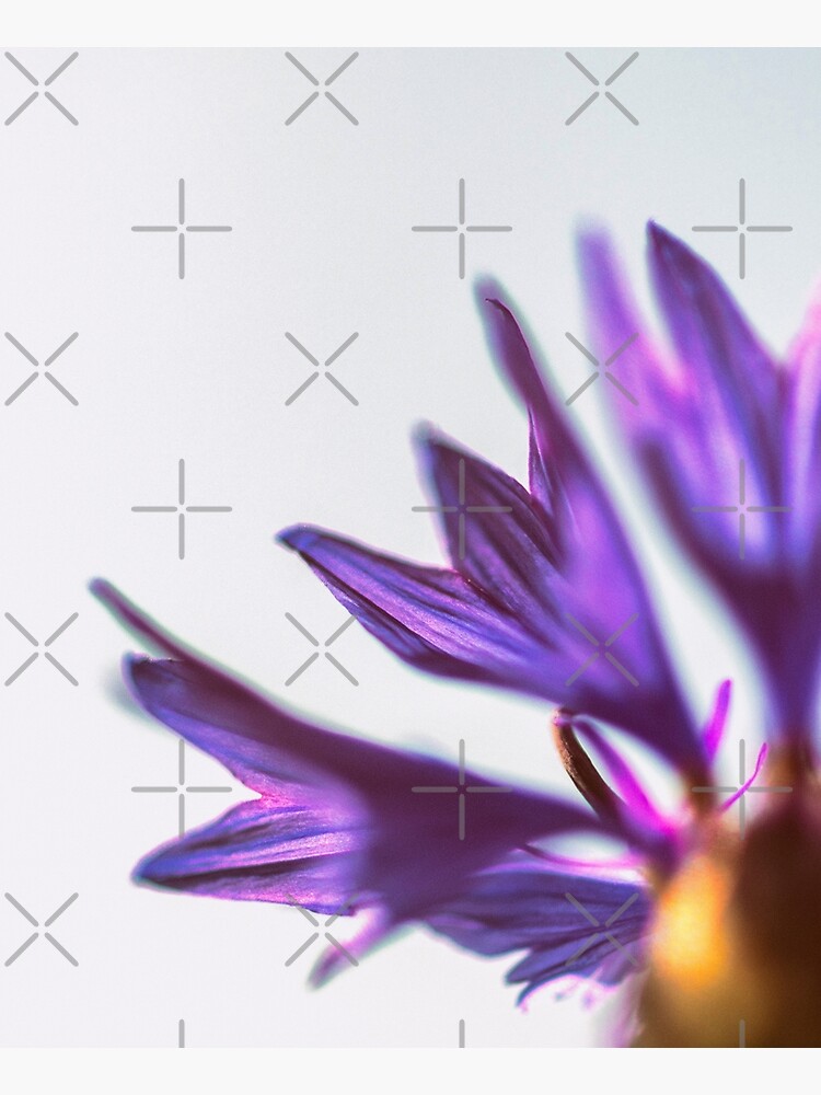 Flower Mystical by WendyLeyten